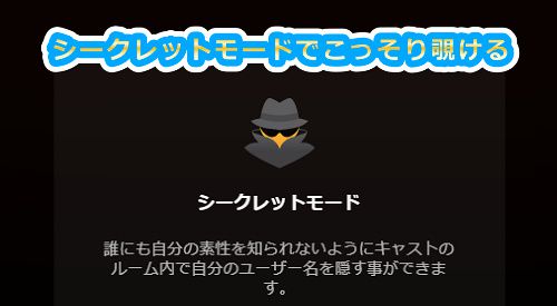 stripchatのアルティメット会員はシークレットモードが使える